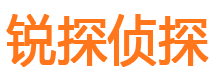 乡城市私家侦探